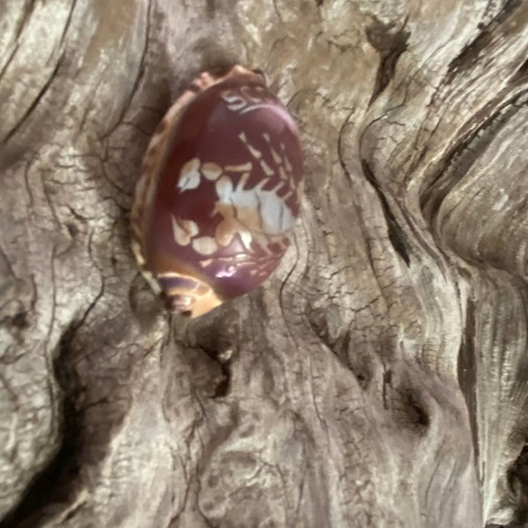 Scorpio Cowrie Shell Necklace Pendant Vintage 70's Etched Beach Souvenir Zodiac - Picture 4 of 7